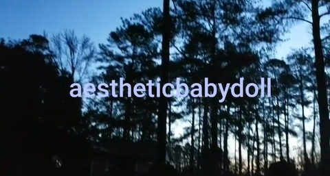 Header of aestheticbabydoll