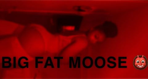 Header of bigfatmoose