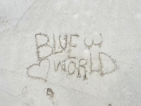 Header of blueworldd