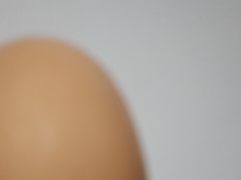 Header of eggies