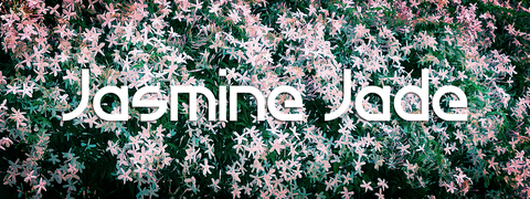 Header of jasminenyxjade