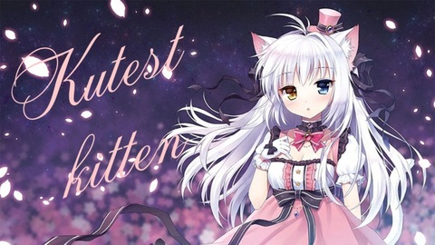 Header of kutestkitten