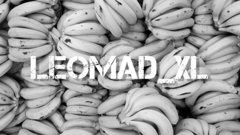 Header of leomad_xl