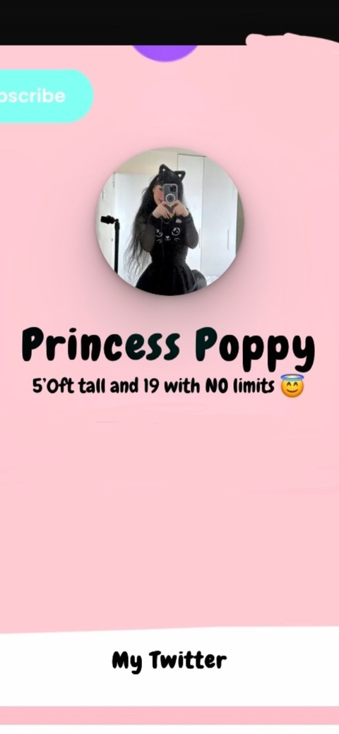 Header of littleprincesspoppyy