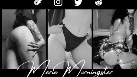 Header of mariemorningstar