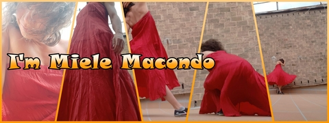 Header of mielemacondo