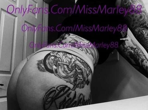 Header of missmarley88