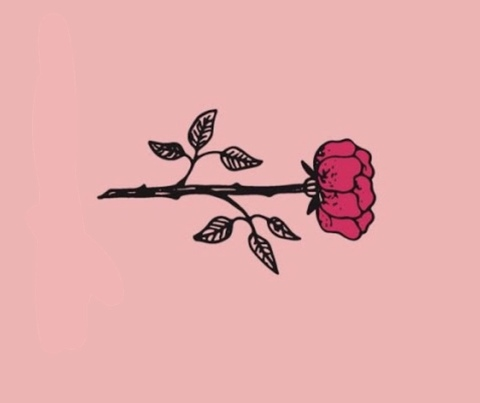 Header of mskimberrose