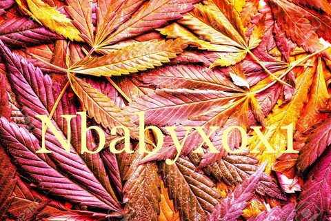 Header of nbabyxox1