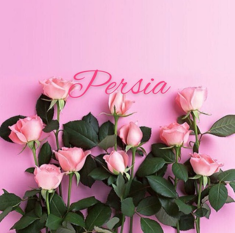 Header of persiiaa