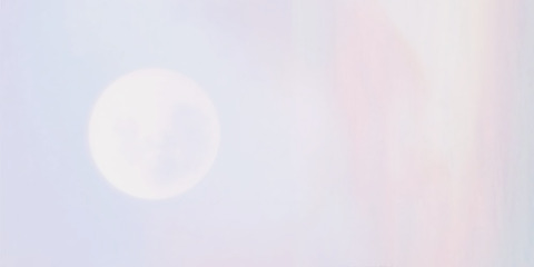 Header of yamilex