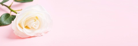 Header of yummydummyj